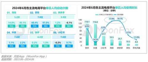 2024年第二季度移動互聯(lián)網(wǎng)行業(yè)數(shù)據(jù)研究報告 互聯(lián)網(wǎng)數(shù)據(jù)服務(wù)洞察