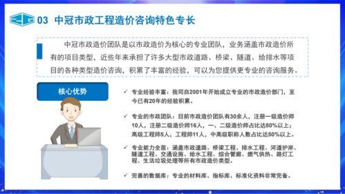中冠咨詢市政工程造價與信息咨詢服務(wù)概述